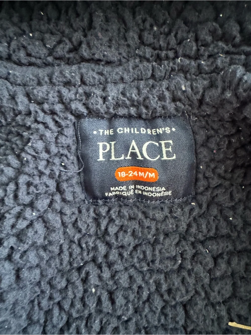 The Children's Place Boy Toddler Long Sleeve Sherpa Lined Hoodie Size 18-24M